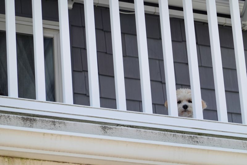 Warranty and Support